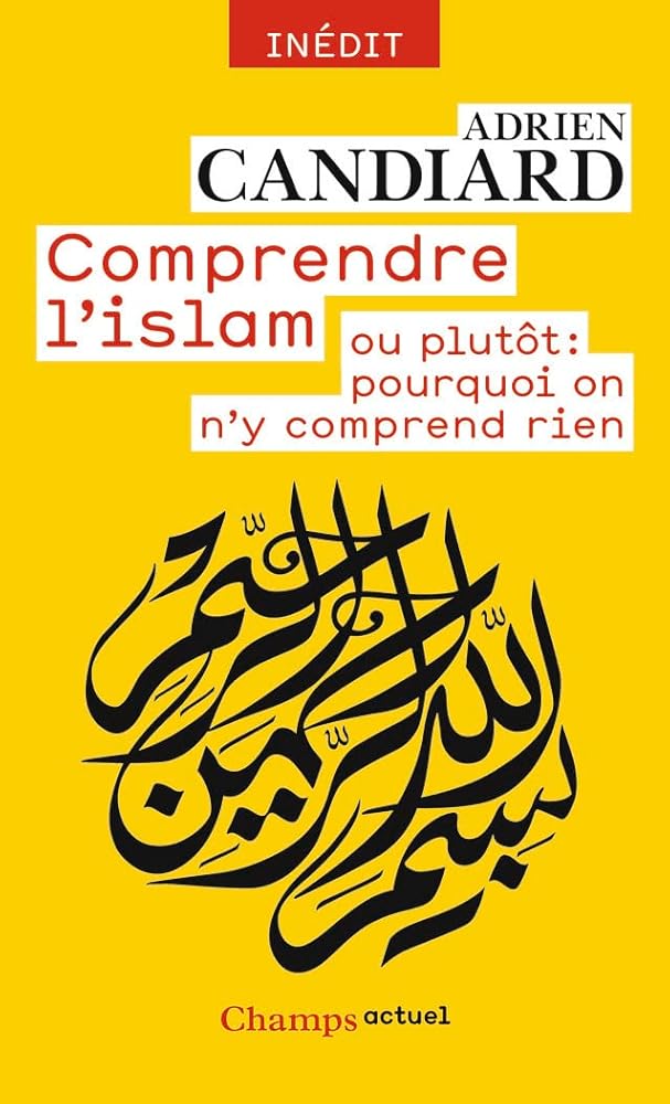 Comprendre l'Islam - ou plutôt : pourquoi on n'y comprend rien cover image