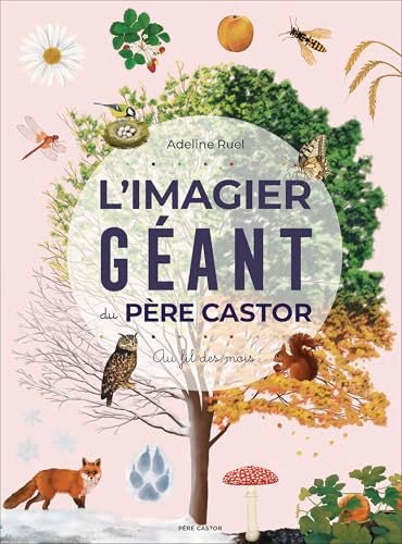 Couverture L'IMAGIER GEANT DU PERE CASTOR AU FIL DES MOIS - Ruel Adeline (Broché) - ISBN 9782080488282