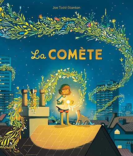 Couverture LA COMETE (Broché) - ISBN 9782211321099