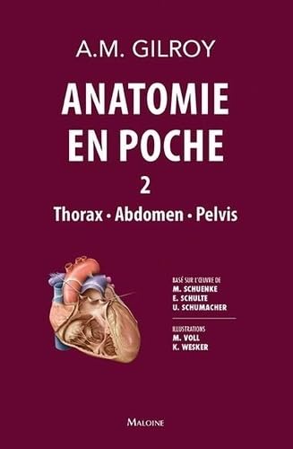 Couverture ANATOMIE EN POCHE VOL 2 - Gilroy (Broché) - ISBN 9782224035938