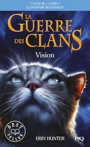 Couverture LE POUVOIR DES ETOILES - TOME 1 - VISION - Hunter Erin (Poche) - ISBN 9782266277310