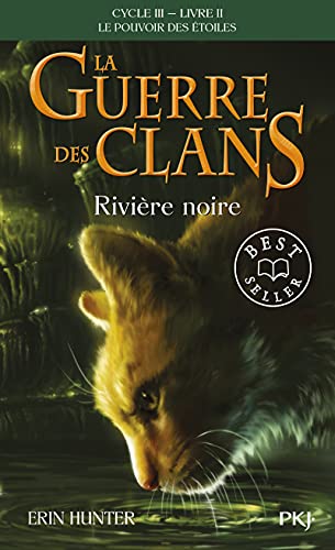 Couverture LE POUVOIR DES ETOILES - TOME 2 - RIVIERE NOIRE - Hunter Erin (Poche) - ISBN 9782266282635