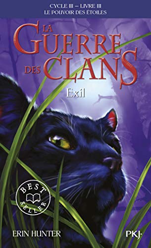 Couverture LE POUVOIR DES ETOILES - TOME 3 - EXIL - Hunter Erin (Poche) - ISBN 9782266293884