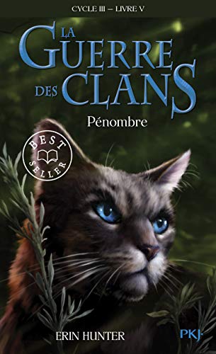 Couverture LE POUVOIR DES ETOILES - TOME 5 - PENOMBRE - Hunter Erin (Broché) - ISBN 9782266304726