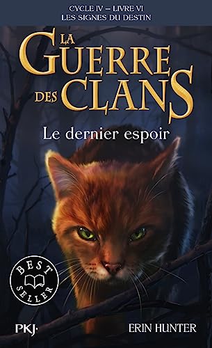 Couverture LES SIGNES DU DESTIN - TOME 6 - LE DERNIER ESPOIR - Hunter Erin (Poche) - ISBN 9782266330077