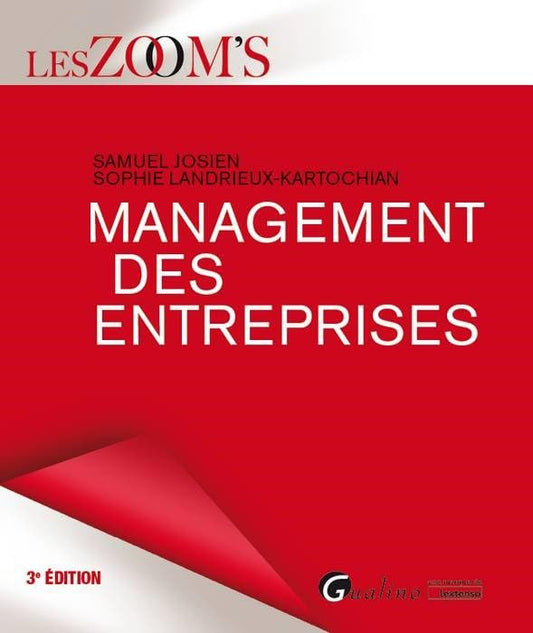 Couverture MANAGEMENT DES ENTREPRISES 3°ED - Josien & Landrieux-Kartochian (Broché) - ISBN 9782297066433