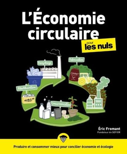 Couverture L'ECONOMIE CIRCULAIRE POUR LES NULS - Fromant (Broché) - ISBN 9782412055380