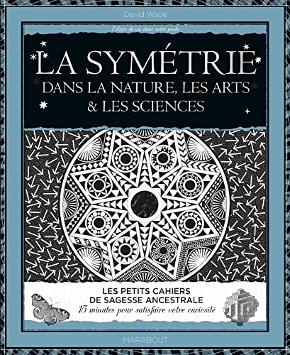 Couverture LA SYMETRIE : LE PRINCIPE ORDONNATEUR (Poche) - ISBN 9782501175944