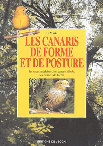 Couverture LES CANARIS DE FORME ET DE POSTURE - Mario (Poche) - ISBN 9782732835259