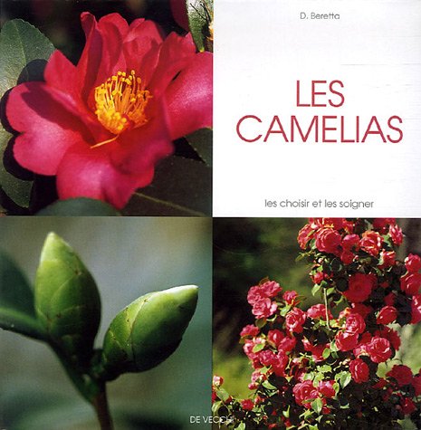 Couverture LES CAMELIAS (Poche) - ISBN 9782732888507