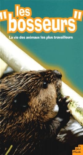 Couverture LES BOSSEURS (Broché) - ISBN 9782846071055