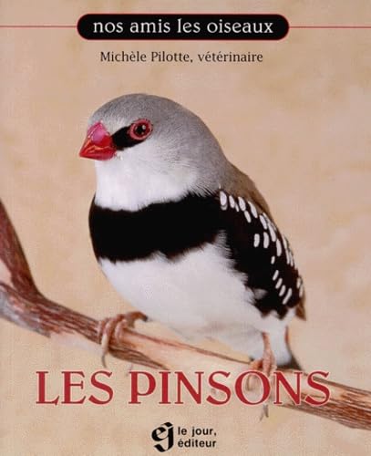 Couverture LES PINSONS - Pilote (Poche) - ISBN 9782890446403