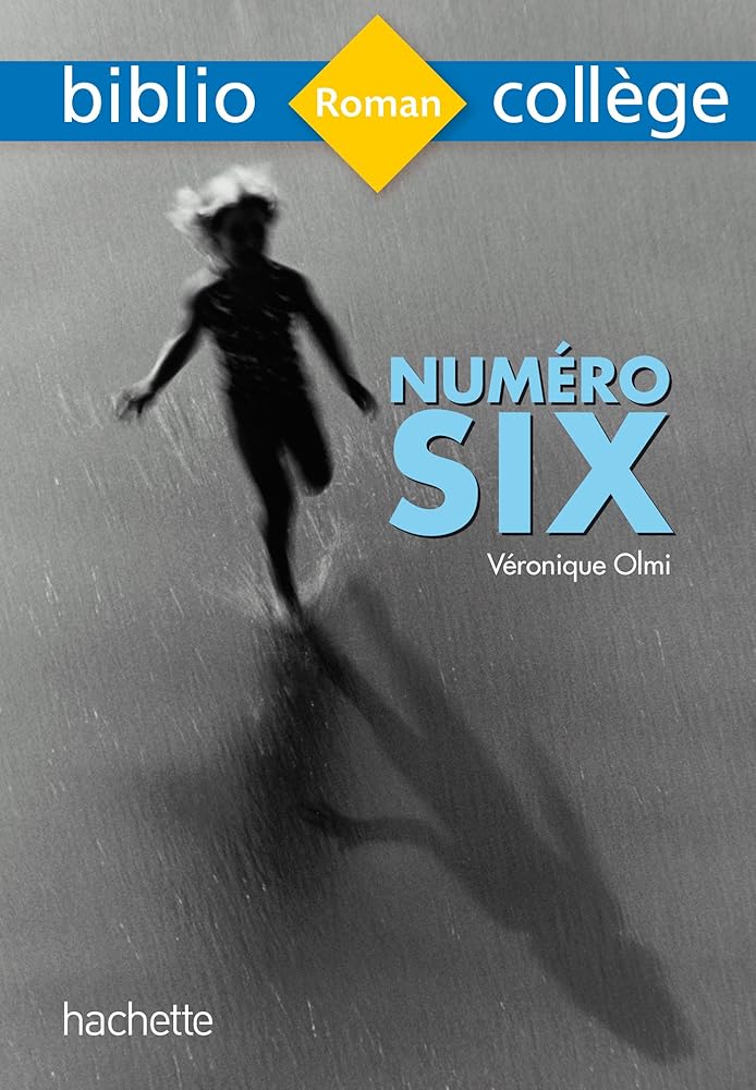 Bibliocollege - Numéro Six, Véronique Olmi cover image