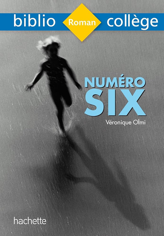Bibliocollege - Numéro Six, Véronique Olmi cover image