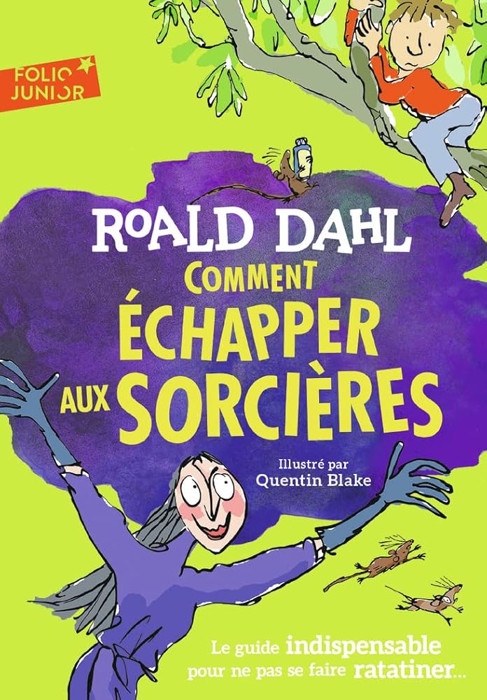 COMMENT ECHAPPER AUX SORCIERES cover image
