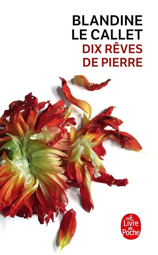 Dix rêves de pierre cover image