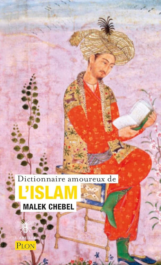 Dictionnaire amoureux de l'Islam cover image