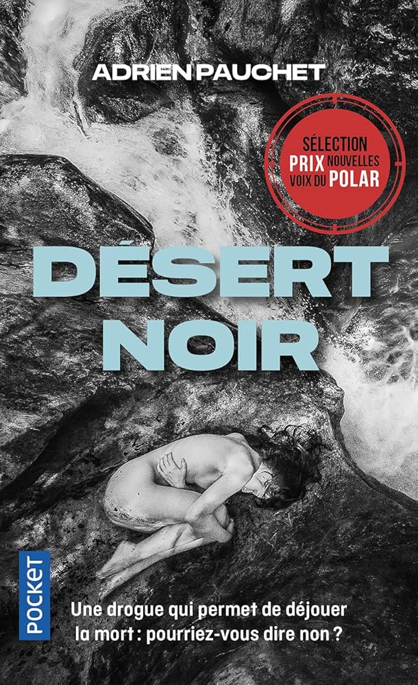 Désert noir cover image