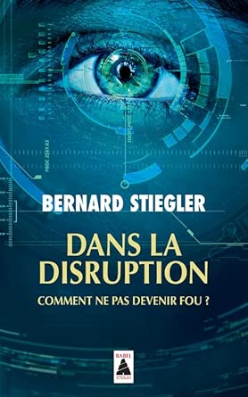 Dans la disruption: Comment ne pas devenir fou ? cover image